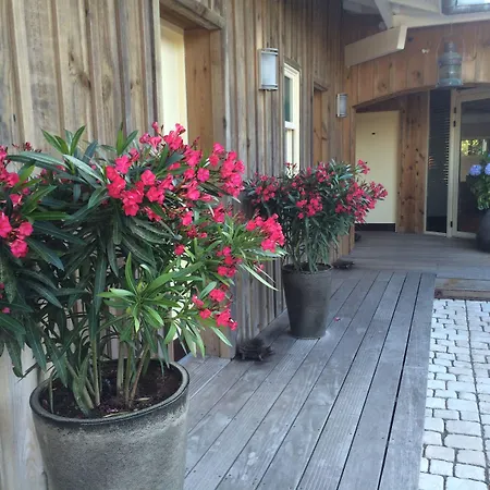 Des Dunes 3* Lège-Cap-Ferret