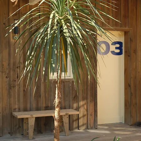 Des Dunes Lège-Cap-Ferret