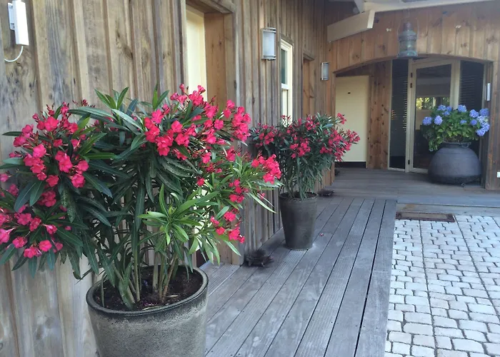 Des Dunes 3* Lège-Cap-Ferret