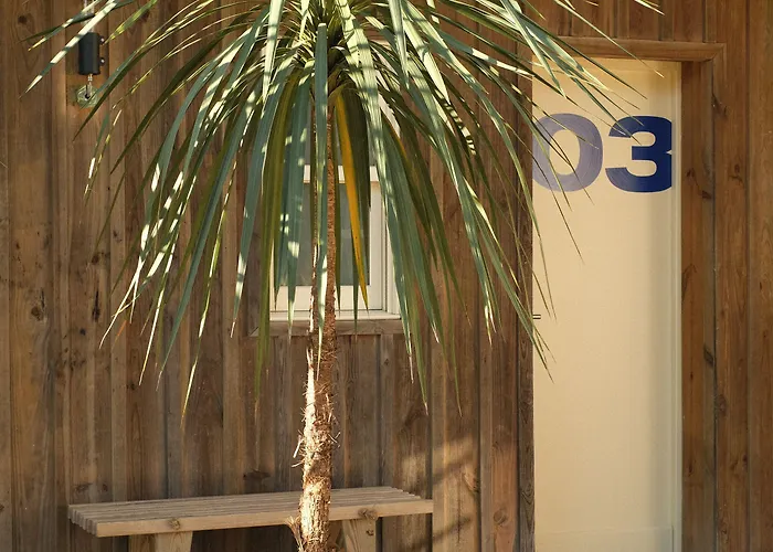 Des Dunes Lège-Cap-Ferret